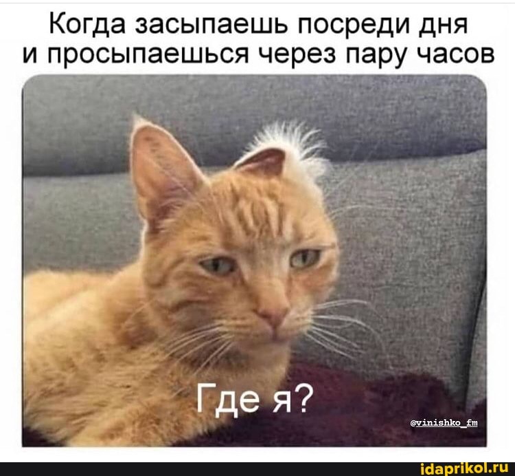Когда засыпаешь посреди дня и просыпаешься через пару часов
Где я?
