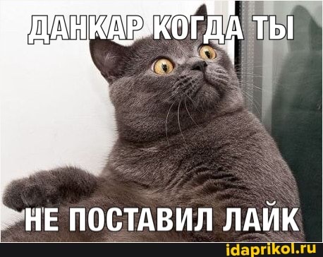 АН МАРЖОГДА ТЫ
НЕ ПОСТАВИЛ ЛАЙК