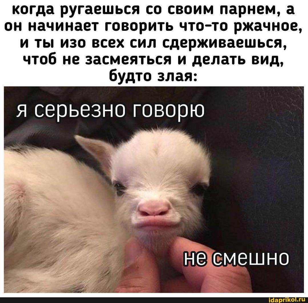 когда ругаешься со своим парнем, а он начинает говорить что-то ржачное, и ты изо всех сил сдерживаешься, чтоб не засмеяться и делать вид, будто злая:
я серьезно говорю
не смешно