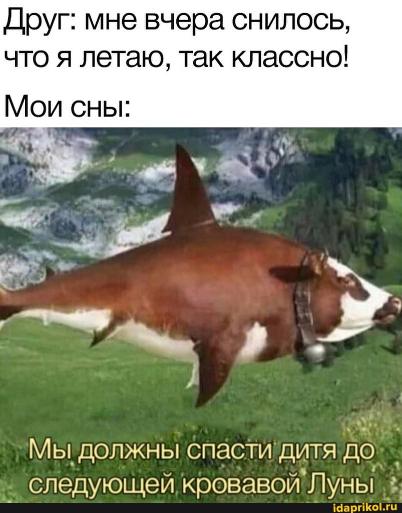 Друг: мне вчера снилось, что я летаю, так классно!
Мои сны:
Мы! должны спасти! дитя до
' следующей кровавой 'Луны