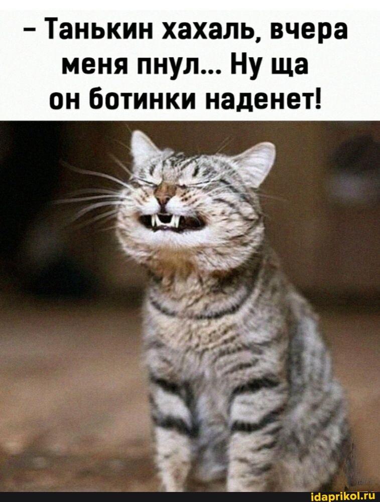 Танькин хахаль, вчера меня пнул... Ну ща он ботинки наденет!
