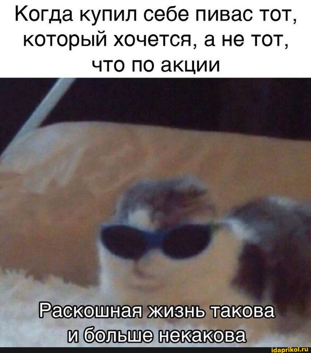 Когда купил себе пивас тот,
который хочется, а не тот, что по акции
[Раскошная жизнь такова больше некакора