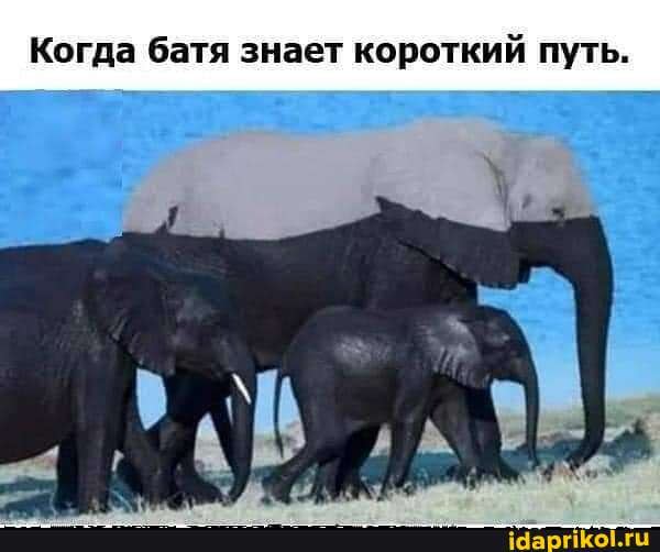 Когда батя знает короткий путь.