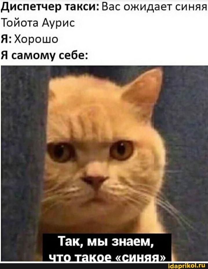 Диспетчер такси: Вас ожидает синяя
Тойота Аурис
Я: Хорошо
Я самому себе:
Так, мы знаем,