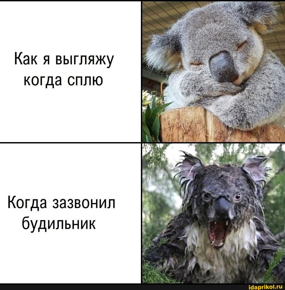 Как я выгляжу когда сплю
Когда зазвонил будильник