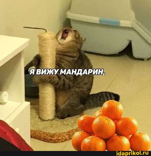 Я ВИЖУ МАНДАРИН.