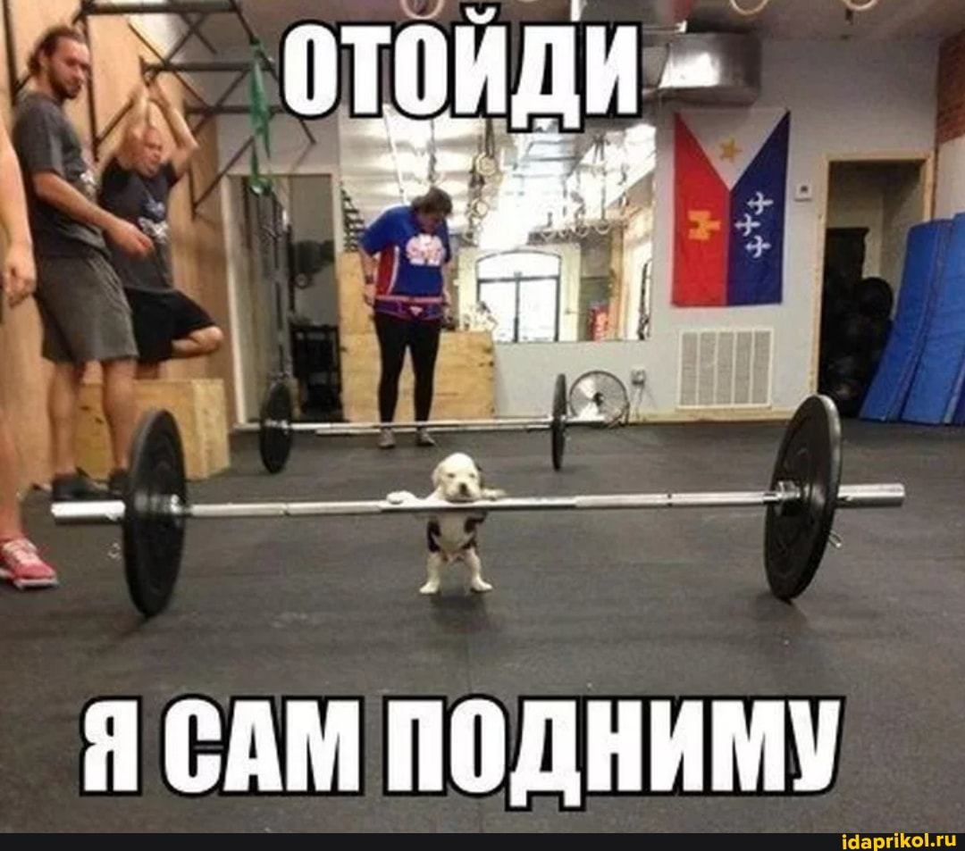 Я САМ ПОДНИМУ