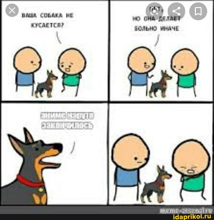 ВЫДА СОБАЖА НЕ ДЕЛАЕТ КУСАЕТСЯ?