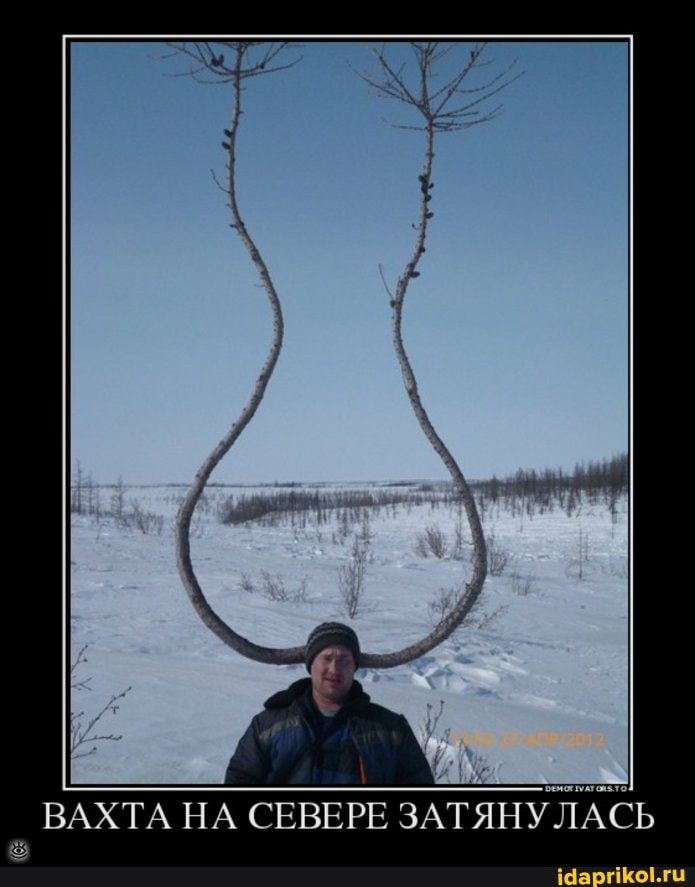 ВАХТА НА СЕВЕРЕ ЗАТЯНУЛАСЬ