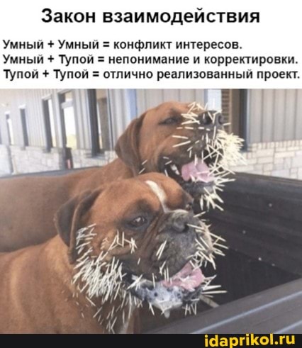 Закон взаимодействия
Умный + Умный = конфликт интересов.
Умный + Тупой = непонимание и корректировки.
Тупой + Тупой = отлично реализованный проект.