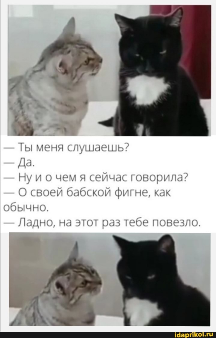 Ты меня слушаешь?
- Да.
- Ну и о чем я сейчас говорила?
- О своей бабской фигне, как обычно.
- Ладно, на этот раз тебе повезло.