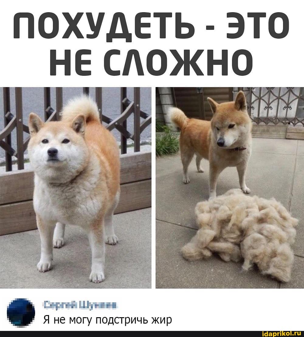 ПОХУДЕТЬ - ЭТО НЕ СЛОЖНО
не мо
