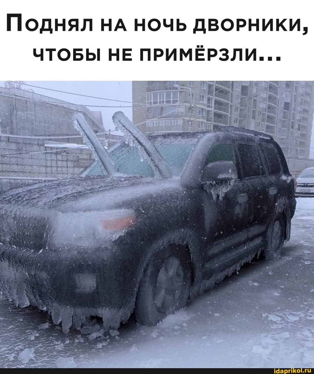 Поднял НА ночь ДВОРНИКИ,
ЧТОБЫ НЕ ПРИМЁРЗЛИ...