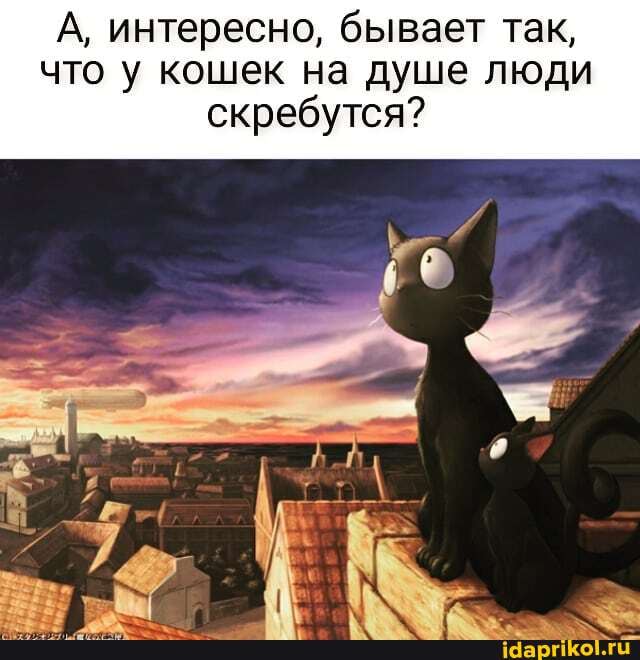 А, интересно, бывает так, что у кошек на душе люди скребутся?
