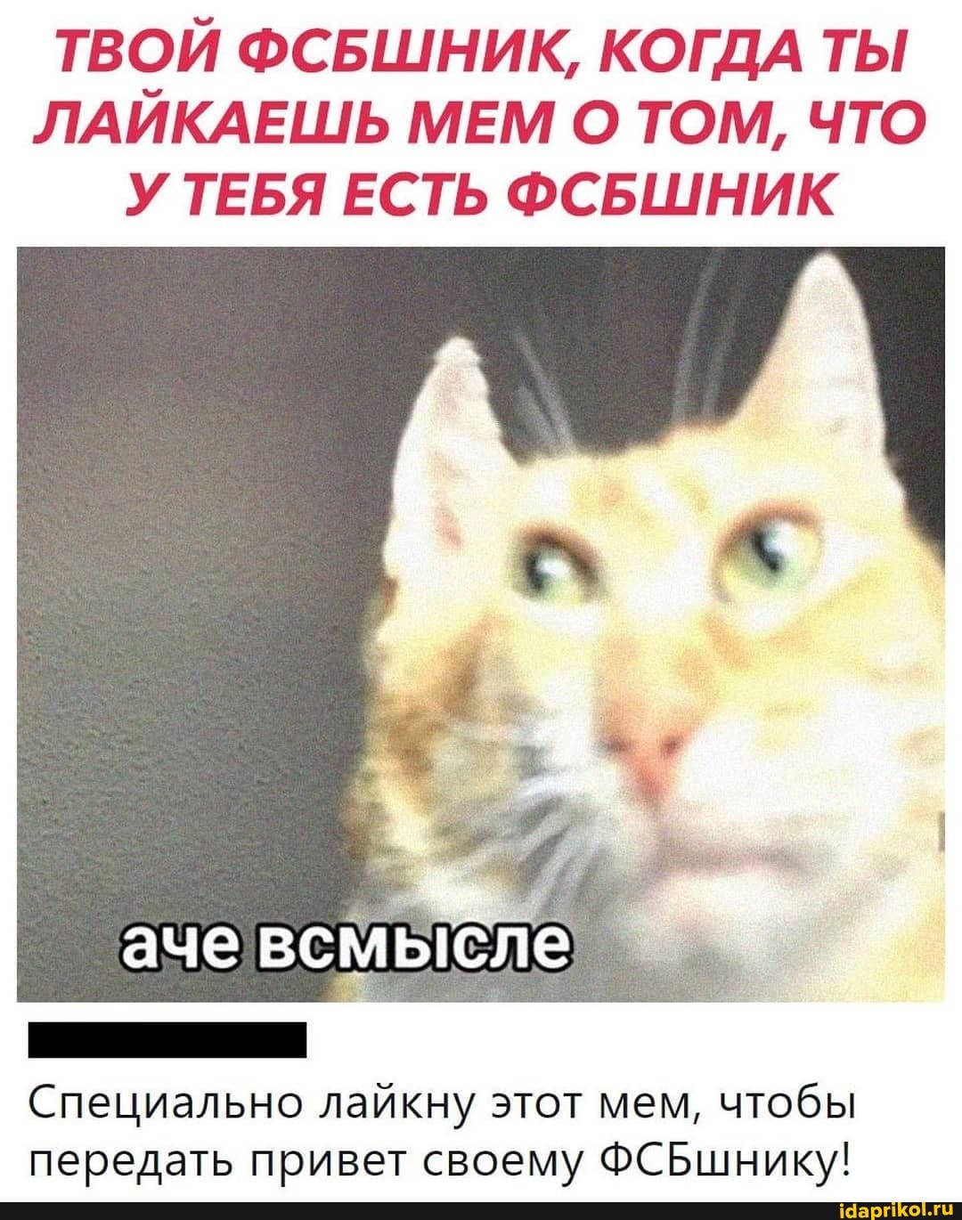 ТВОЙ ФСБШНИК, КОГДА ТЫ ЛАЙКАЕШЬ МЕМ О ТОМ, ЧТО У ТЕБЯ ЕСТЬ ФСБШНИК
аче
Специально лайкну этот мем, чтобы передать привет своему ФСБшнику!
