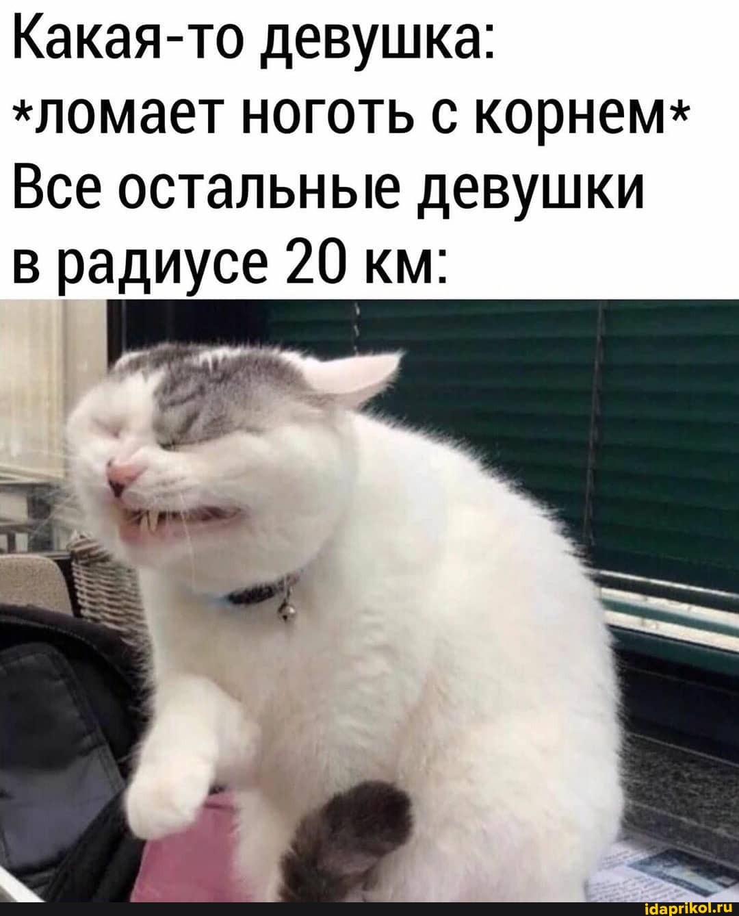 Какая-то девушка:
"ломает ноготь с корнем*
Все остальные девушки
в радиусе 20 км: