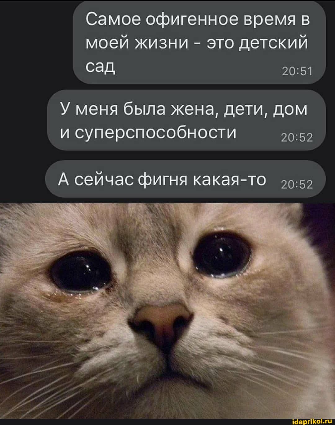 Самое офигенное время моей жизни - это детский сад
У меня была жена, дети, дом и суперспособности
А сейчас фигня какая-то