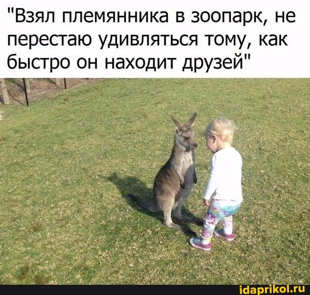 "Взял племянника в зоопарк, не перестаю удивляться тому, как быстро он находит друзей"