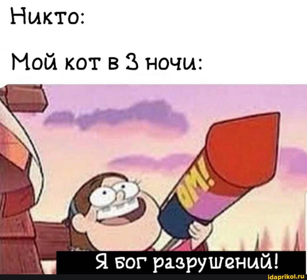 Никто:
Мой кот в 3 ночи:
разрушений! I