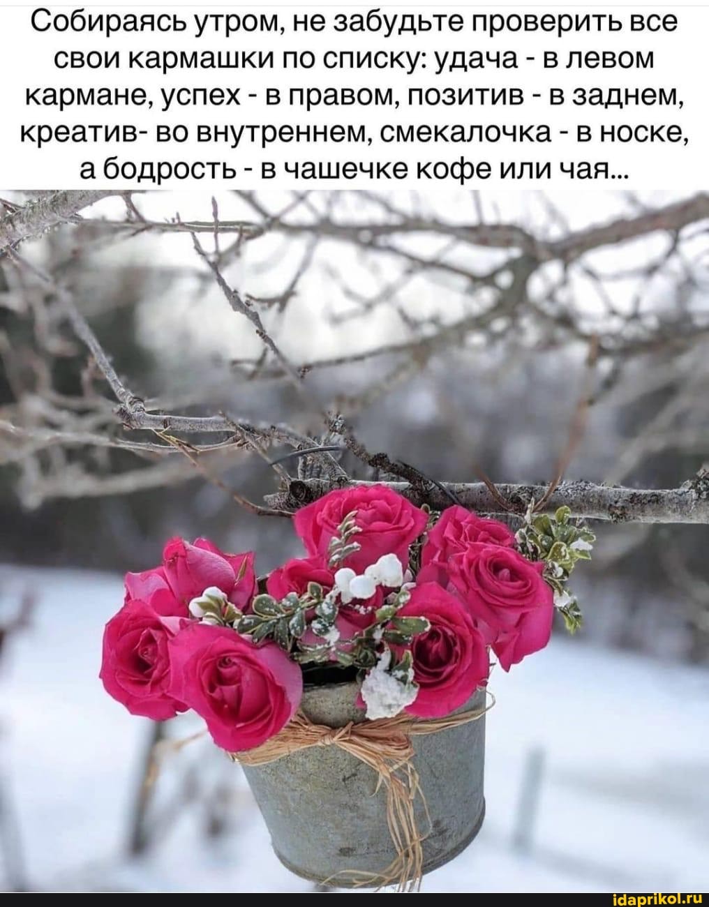 Собираясь утром, не забудьте проверить все свои кармашки по списку: удача - в левом кармане, успех - в правом, позитив - в заднем, креатив- во внутреннем, смекалочка - в носке, а бодрость - в чашечке кофе или чая...