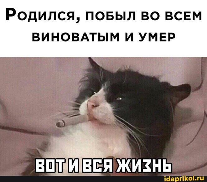 Родился, ПОБЫЛ ВО ВСЕМ ВИНОВАТЫМ И УМЕР
ЖИЗНЬ