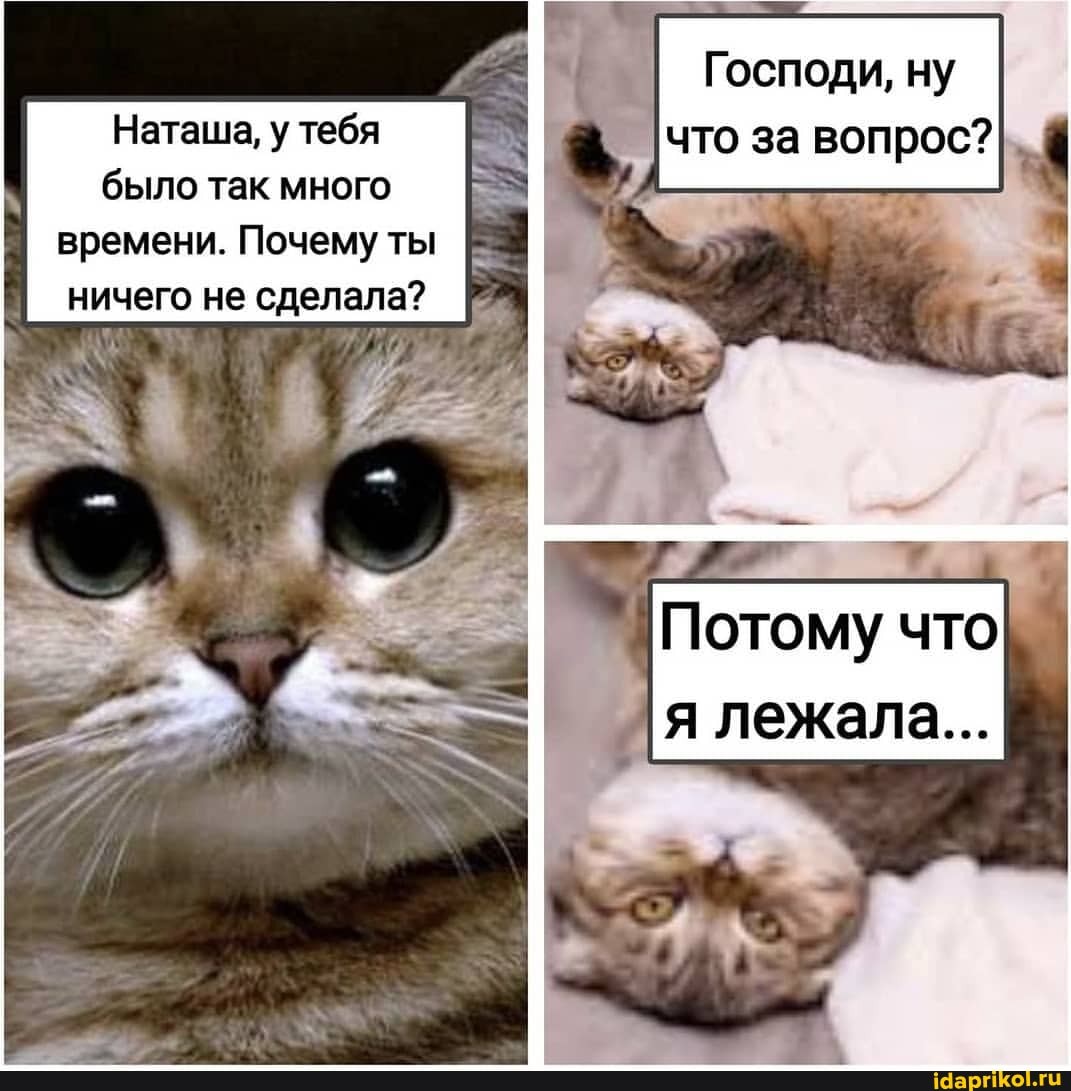 Господи, ну
Наташа, у тебя что за вопрос? было так много
времени. Почему ты ничего не сделала?