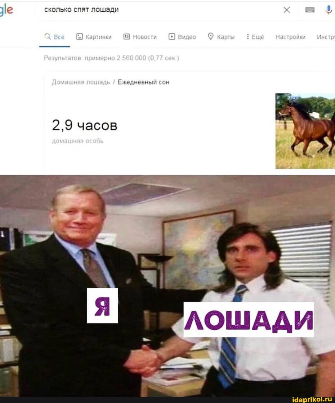 е сколько спят лошади
2,9 часов