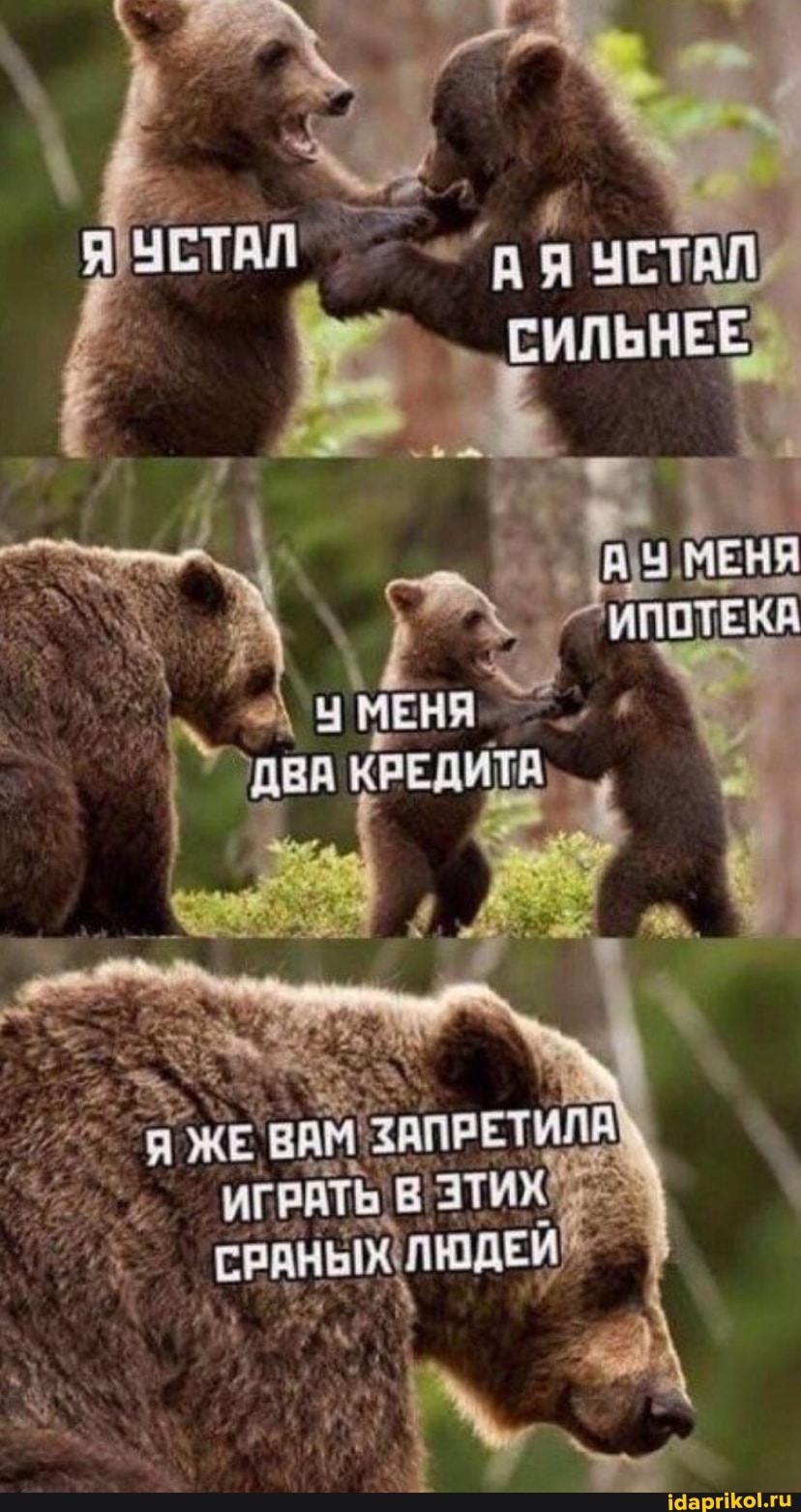 Ач МЕНЯ ДВА КРЕДИТА