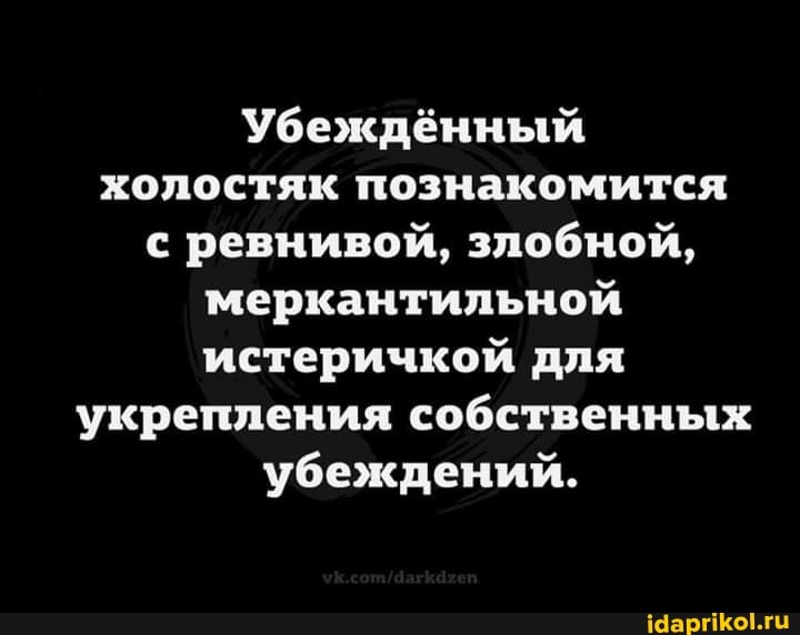 Убеждённый холостяк познакомится с ревнивой, злобной, меркантильной истеричкой для укрепления собственных убеждений.