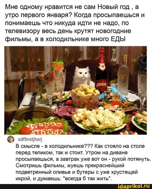 Мне одному нравится не сам Новый год а утро первого января? Когда просыпаешься и понимаешь что никуда идти не надо, по телевизору весь день крутят новогодние фильмы, а в холодильнике много ЕДЫ
В смысле - в холодильнике??? Как стояло на столе перед теликом, так и стоит. Утром на диване просыпаешься, а завтрак уже вот он - рукой потянуть.
Смотришь фильмы, жуешь прекраснейший подветренный оливье и бутеры с уже хрустящей икрой, и думаешь: "всегда так жить".