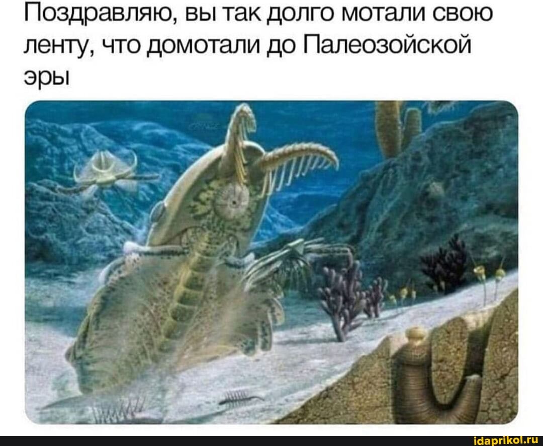 Поздравляю, вы так долго мотали свою ленту, что домотали до Палеозойской эры