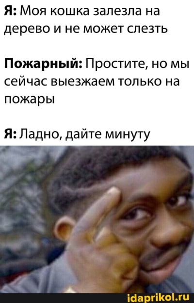 Я: Моя кошка залезла на дерево и не может слезть
Пожарный: Простите, но мы сейчас выезжаем только на пожары
Я: Ладно, дайте минуту