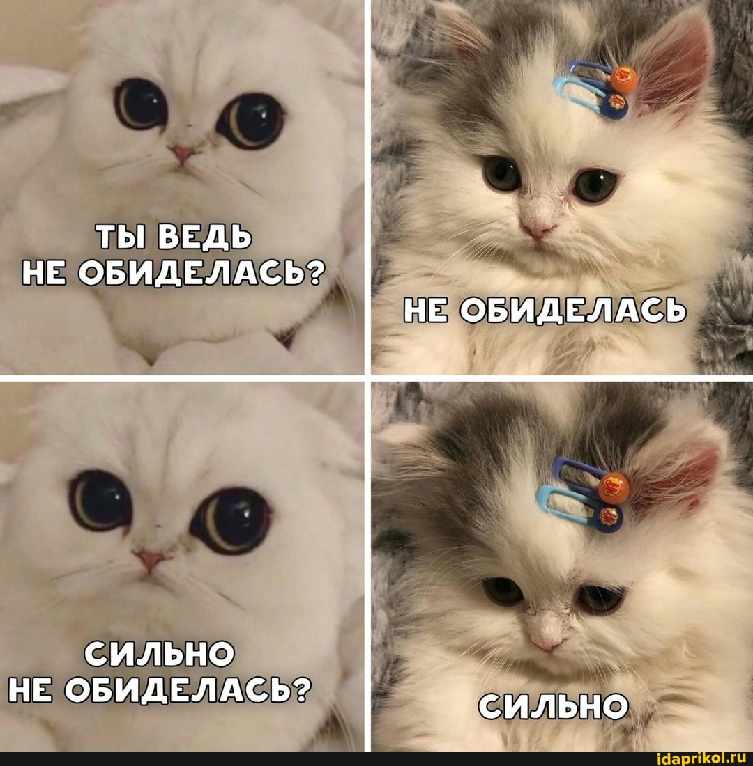 ТЫ ВЕДЬ НЕ ОБИДЕЛАСЬ?
НЕ ОБИДЕЛАСЬ
СИЛЬНО
НЕ ОБИДЕЛАСЬ? сильно