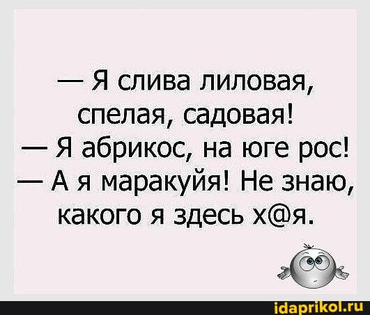 - Я слива лиловая, спелая, садовая!
- Я абрикос, на юге рос!
- Ая маракуйя! Не знаю, какого я здесь