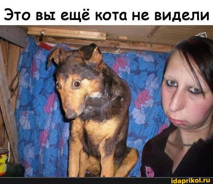 Это вы ещё кота не видели