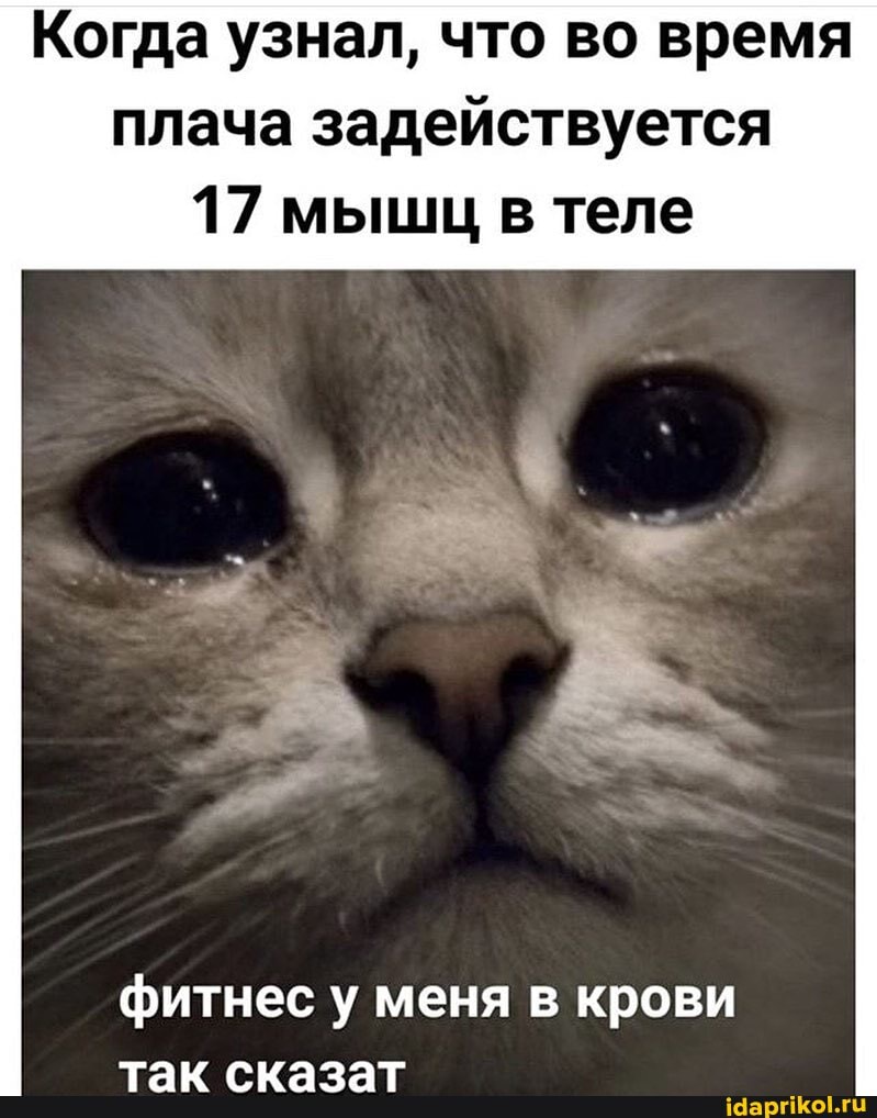 Когда узнал, что во время плача задействуется
17 мыщц в теле
фитнес у меня в крови
ТУР. ТУТ.