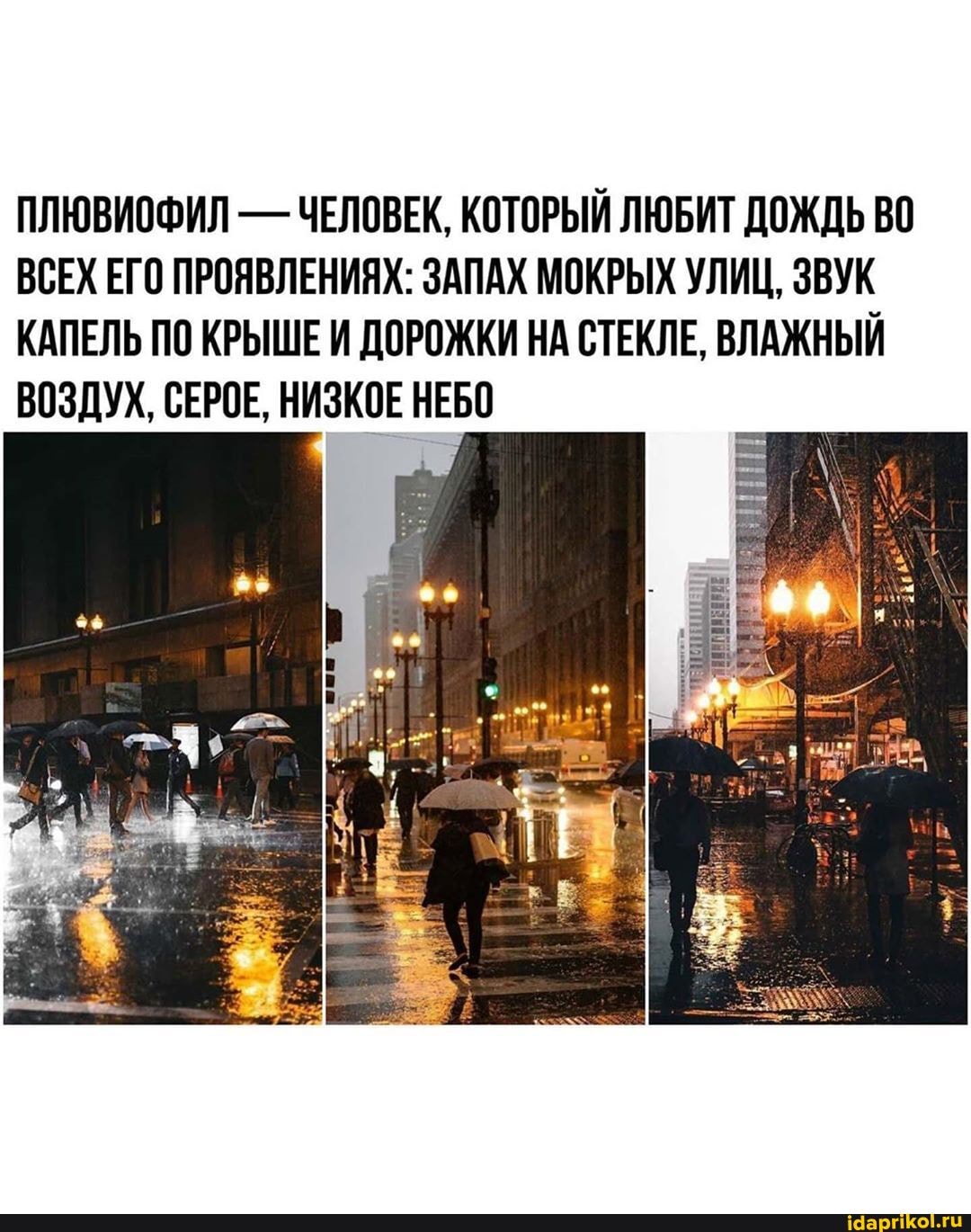 ПЛЮВИОФИЛ - ЧЕЛОВЕК, КОТОРЫЙ ЛЮБИТ ДОЖДЬ ВО ВСЕХ ЕГО ПРОЯВЛЕНИЯХ: ЗАПАХ МОКРЫХ УЛИЦ, ЗВУК КАПЕЛЬ ПО КРЫШЕ И ДОРОЖКИ НА СТЕКЛЕ, ВЛАЖНЫЙ ВОЗДУХ, СЕРОЕ, НИЗКОЕ НЕБО