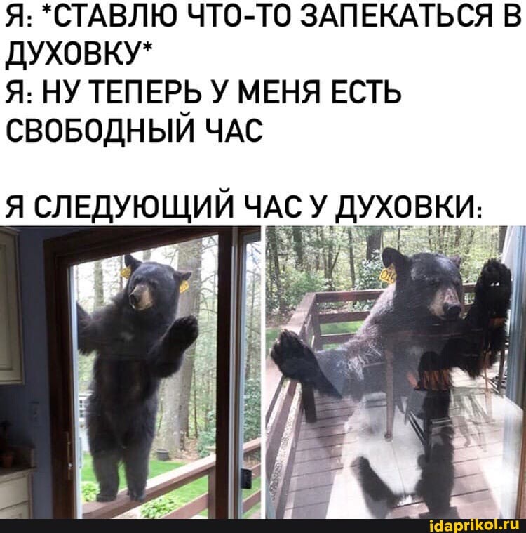 Я: *СТАВЛЮ ЧТО-ТО ЗАПЕКАТЬСЯ В ДУХОВКУ*
Я: НУ ТЕПЕРЬ У МЕНЯ ЕСТЬ СВОБОДНЫЙ ЧАС
СЛЕДУЮЩИЙ ЧАСУ ДУХОВКИ: