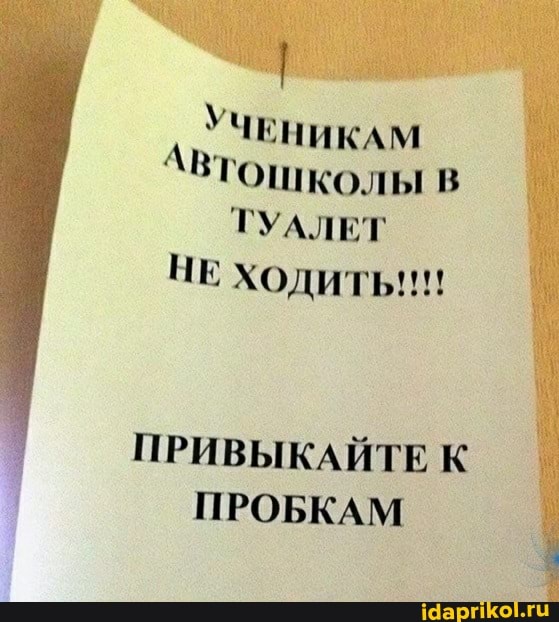 УЧЕНИКАМ АВтошколы в
ТУАЛЕТ
НЕ ходить!!!
ПРИВЫКАЙТЕ К ПРОБКАМ