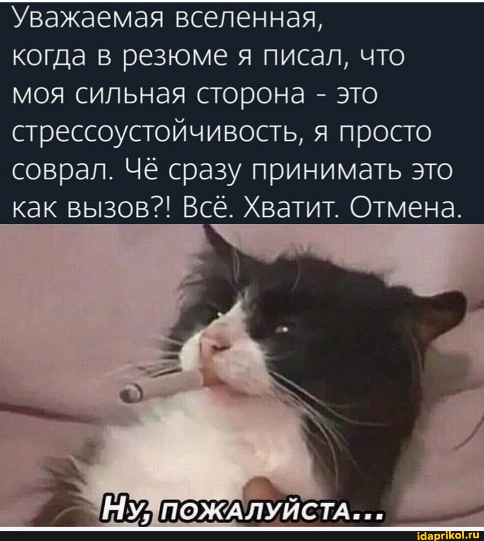 Уважаемая вселенная,
когда в резюме я писал, что моя сильная сторона - это стрессоустойчивость, я просто соврал. Чё сразу принимать это как вызов?! Всё. Хватит. Отмена.