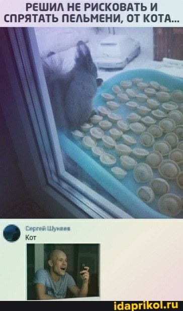 РЕШИЛ НЕ РИСКОВАТЬ И СПРЯТАТЬ ПЕЛЬМЕНИ, ОТ КОТА...
Кот