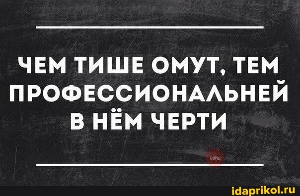 ЧЕМ ТИШЕ ОМУТ, ТЕМ ПРОФЕССИОНАЛЬНЕЙ НЁМ ЧЕРТИ