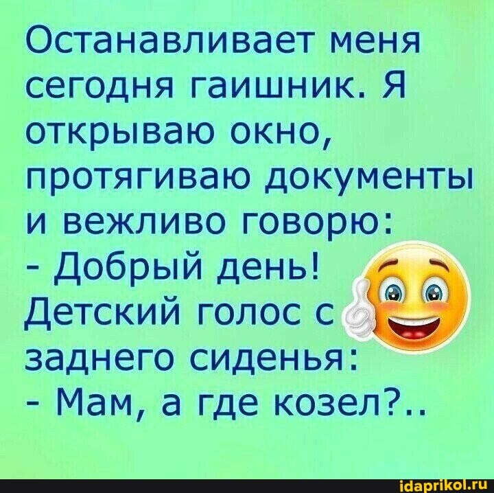 Останавливает меня сегодня гаишник. Я открываю окно, протягиваю документы и вежливо говорю:
- Добрый день!
Детский голос с заднего сиденья:
&9
- Мам, а где козел?..