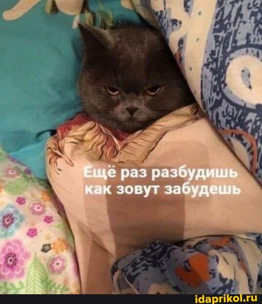 илё раз разбуди зовут забуду.