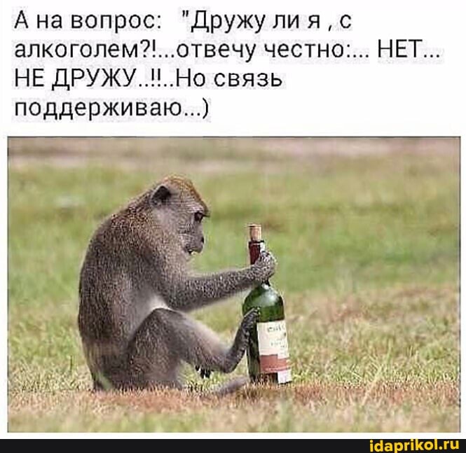"Пружу лия, честно...
НЕ ДРУЖУ. Но связь
А на поддерживаю...)
НЕТ...