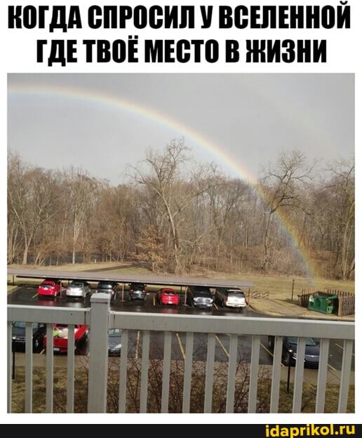 КОГДА СПРОСИЛ У ВСЕЛЕННОЙ ГДЕТВОЕ МЕСТО В ЖИЗНИ