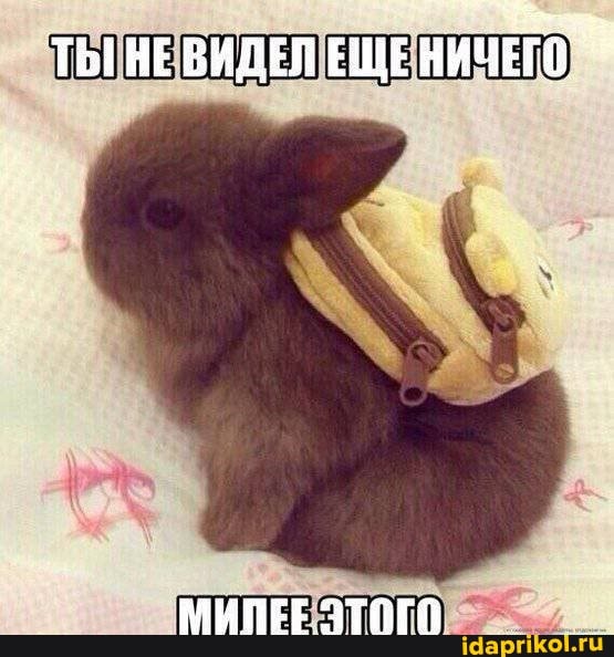 ТЫ НЕВИДЕЛ ЕЩЕ НИЧЕГО
МИПЕЕ ЗТИГО