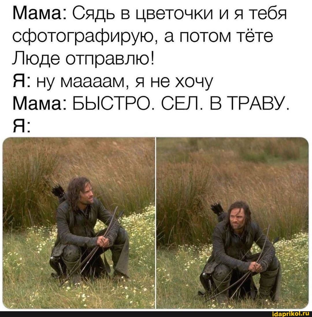 Мама: Сядь в цветочки и я тебя сфотографирую, а потом тёте
Люде отправлю!
Я: ну маааам, я не хочу
Мама: БЫСТРО. СЕЛ. В ТРАВУ.