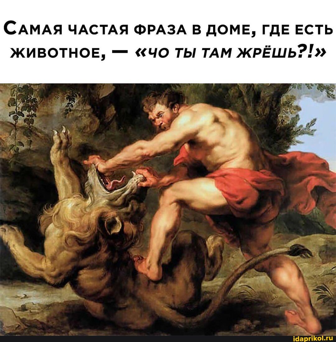 САМАЯ ЧАСТАЯ ФРАЗА В ДОМЕ, ГДЕ ЕСТЬ
ЖИВОТНОЕ, - "ЧО ТЫ ТАМ ЖРЁШЬ?!