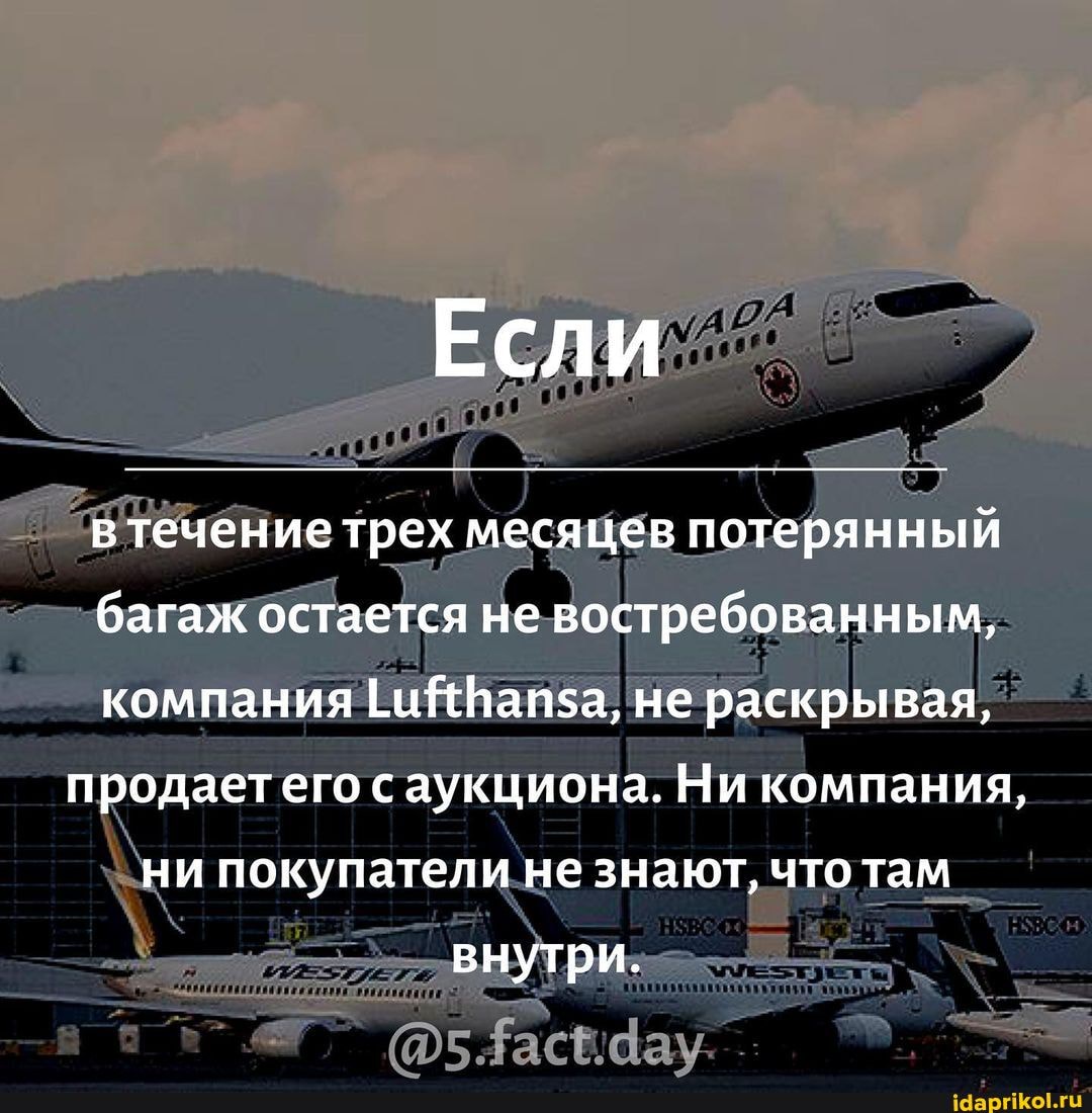 Если
в течениетрех месяцев потерянный багаж остается не востребованным, компания 1 Ваиза, не раскрывая, продаетего саукциона. Ни компания, ни покупатели не знают, что там
внутри.
фе